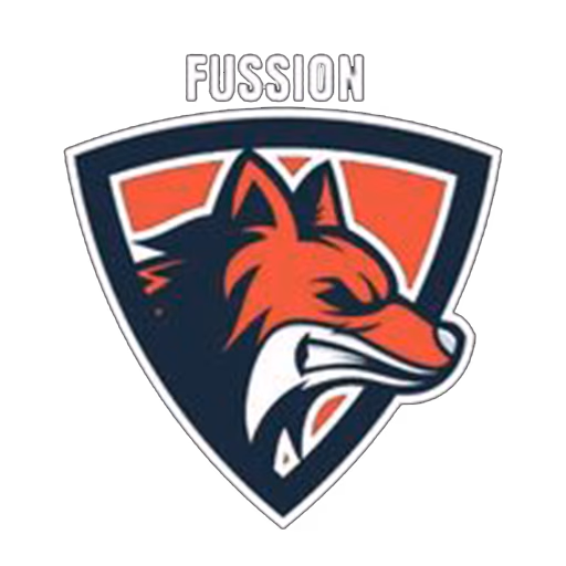 FUSSION STETSA